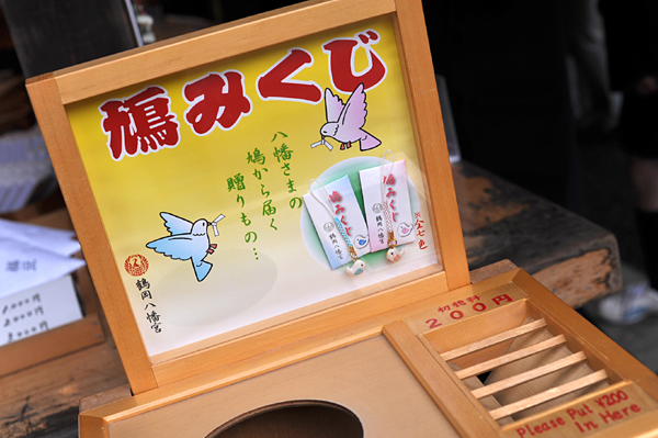 202 5 DSC_6397.jpg